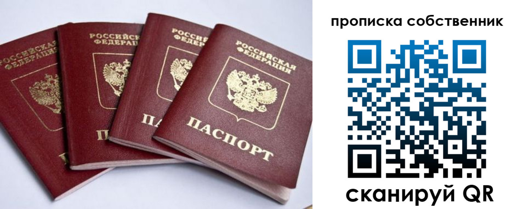 прописка для школы в Ясном