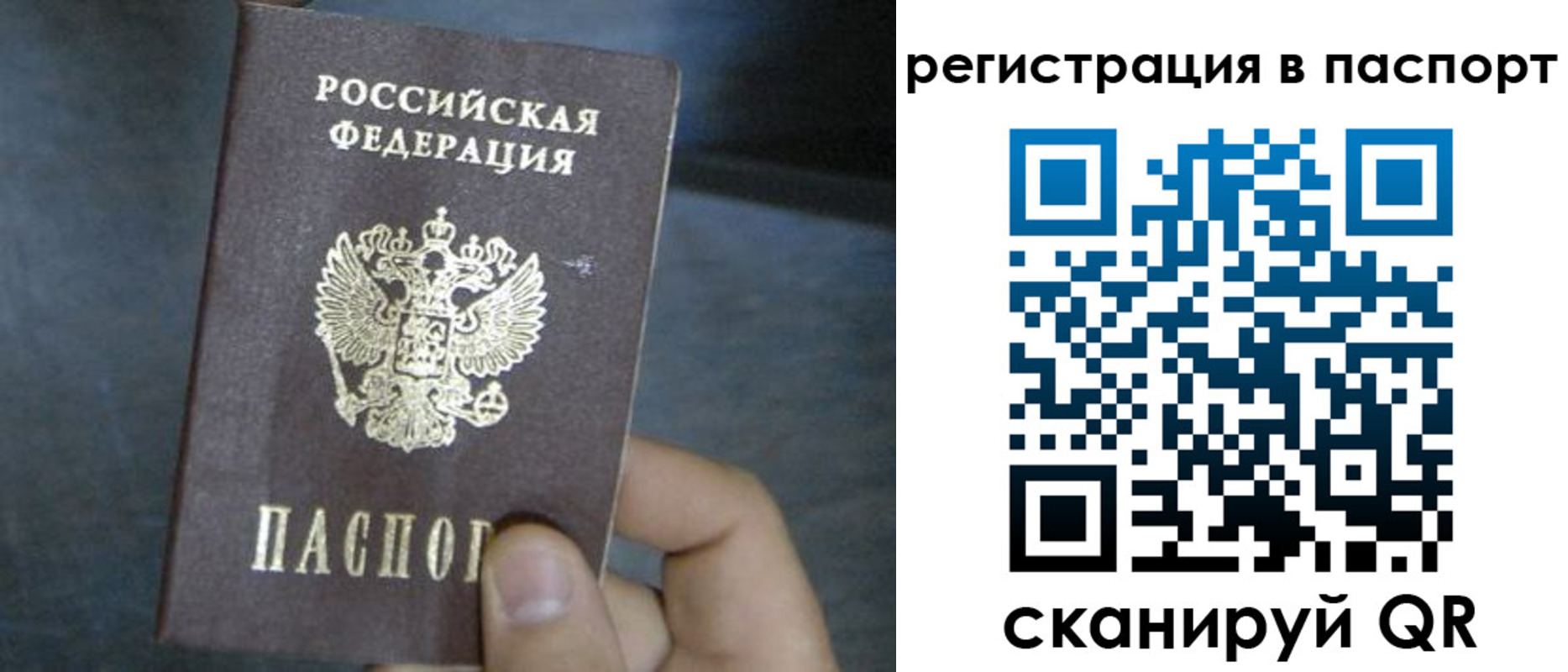 прописка 2025 в Ясном